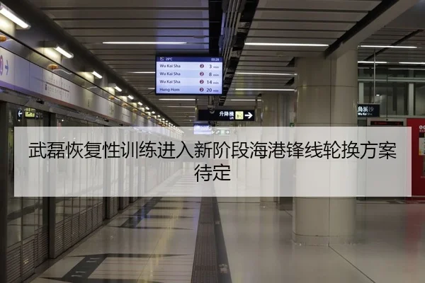 武磊恢复性训练进入新阶段海港锋线轮换方案待定